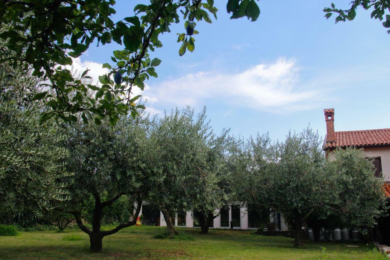 Tourist Farm With Apartments Fig Tree Dekani Exterior foto